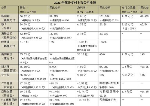 2021年支付機(jī)構(gòu)業(yè)績分化明顯，B端價(jià)值構(gòu)建成行業(yè)競爭新焦點(diǎn)